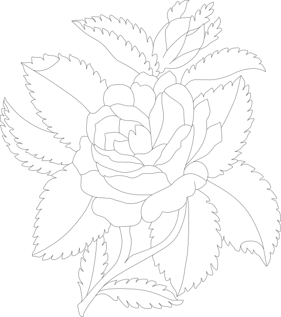 Free Rose Clipart, Animations And Vectors Clipart Black - Line Art (577x650), Png Download