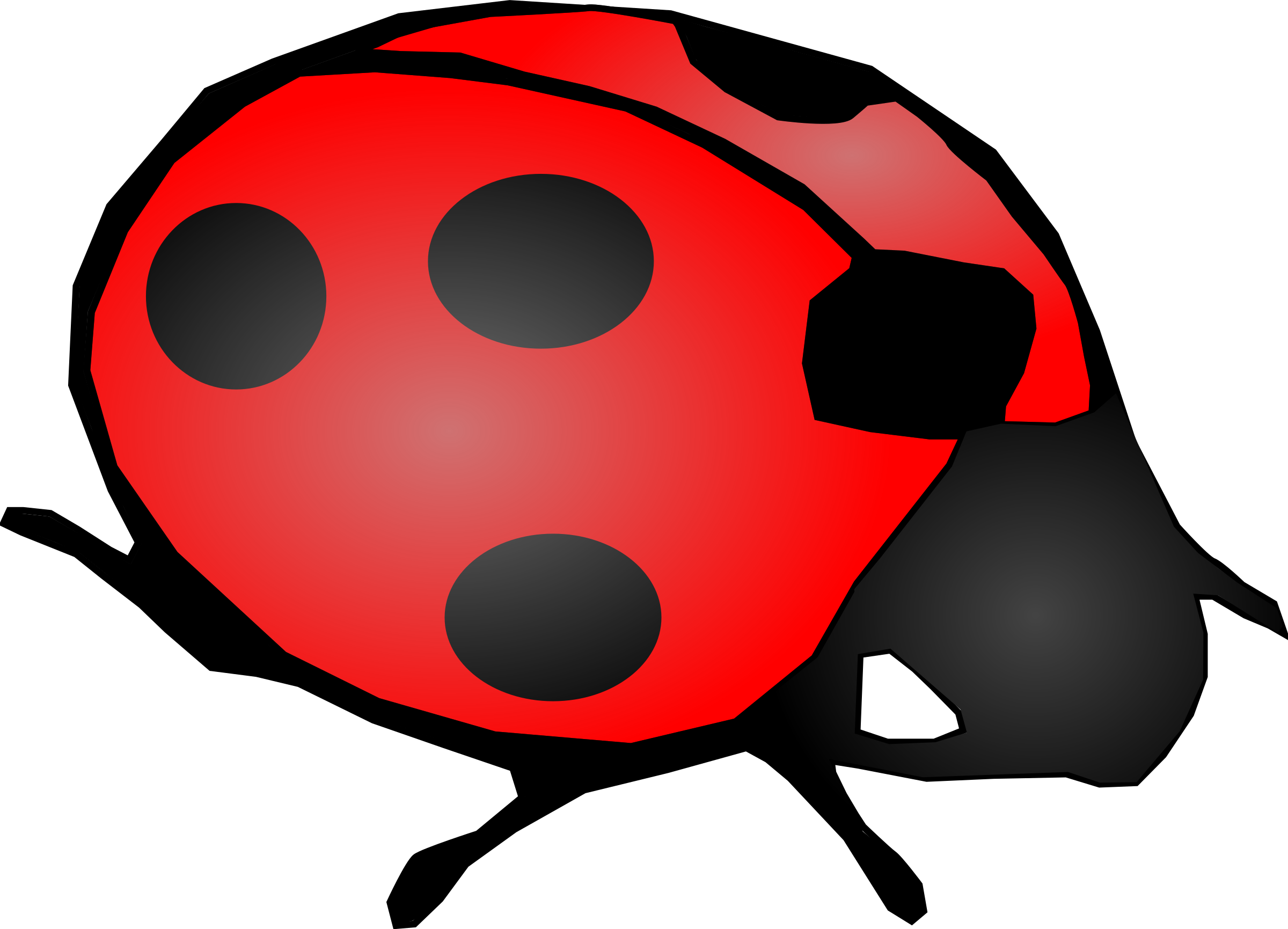 How To Set Use Lady Bug Clipart (900x650), Png Download