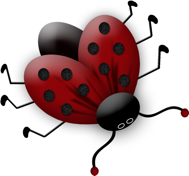 Lacarolita My Lady Bugs Bug Png Ladybird - Ladybird Beetle (800x800), Png Download