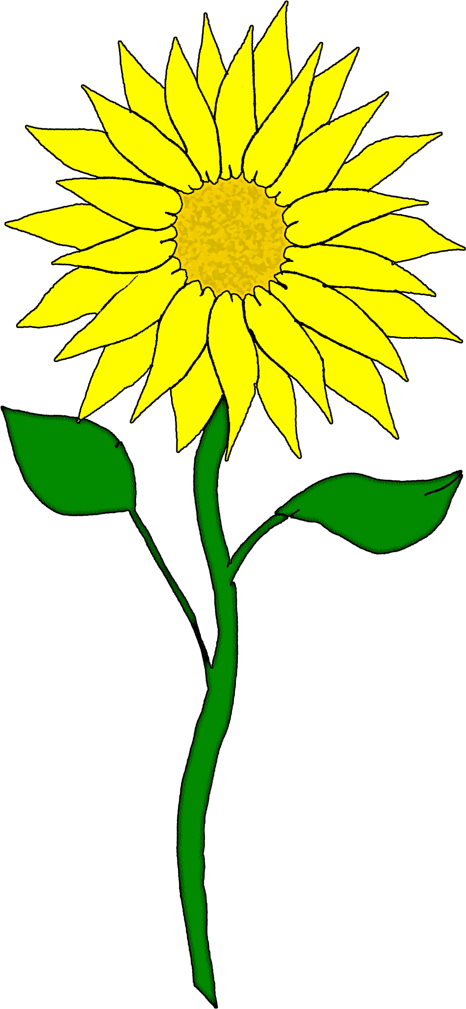 Hawaiian Flower Clip Art Clipart - Sunflower Clipart (980x2144), Png Download