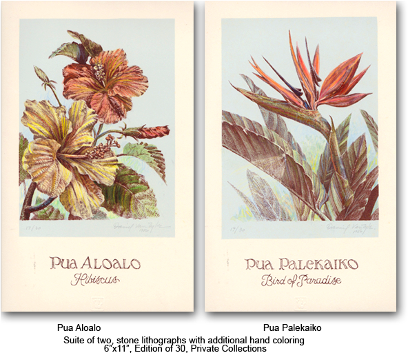 Suite Of Hawaiian Flowers - Hawaii (600x521), Png Download