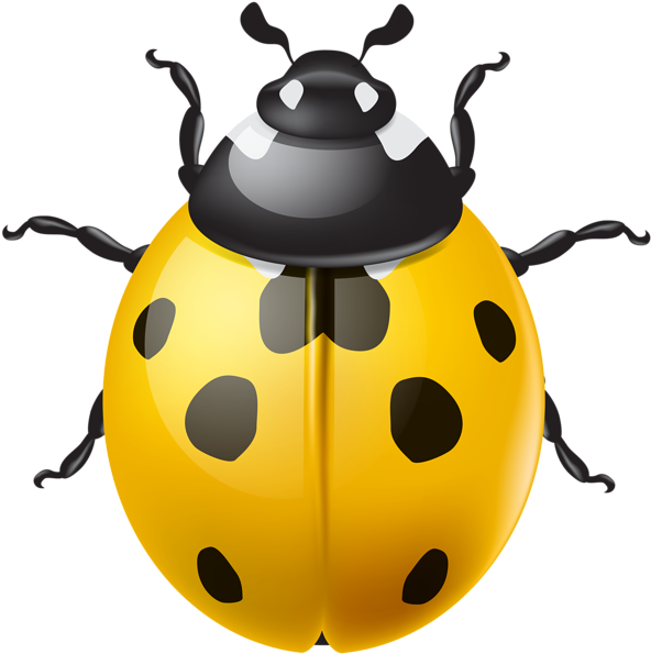 0, - Ladybird Png (600x596), Png Download