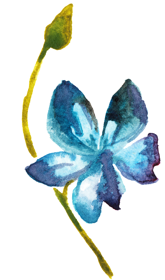 Floral Transparent Ornamental Material - Lily (650x1047), Png Download
