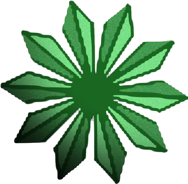 Tree Plan - Vector Graphics (672x752), Png Download