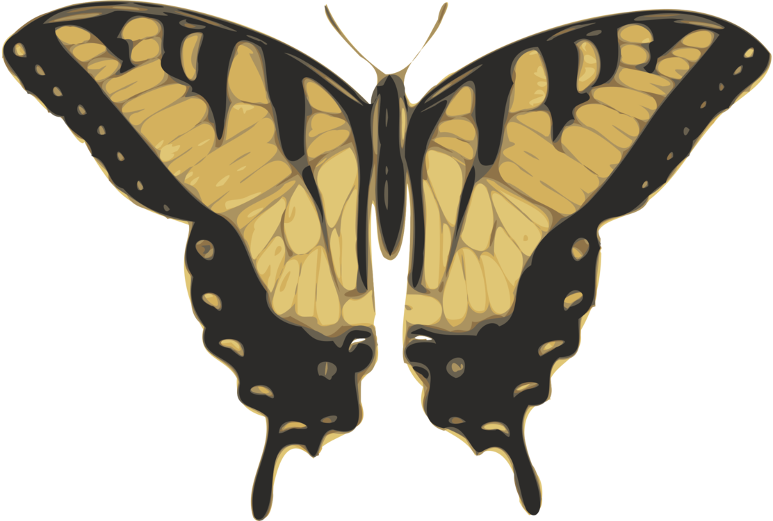 Free Vector Butterfly Top View Clip Art - Tiger Swallowtail Butterfly Png (600x406), Png Download