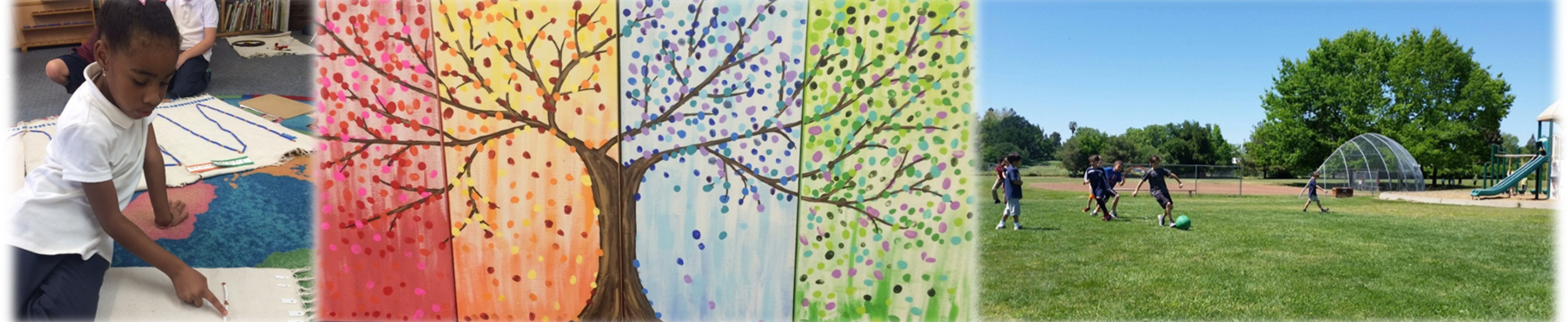 Cmp Images Of Trees And Students Playing And Doing - Student (1900x390), Png Download