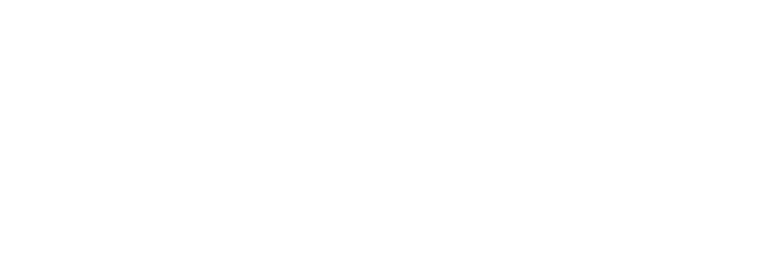 Bear Essential Photography - Logo Png Photographer Bear (703x250), Png Download