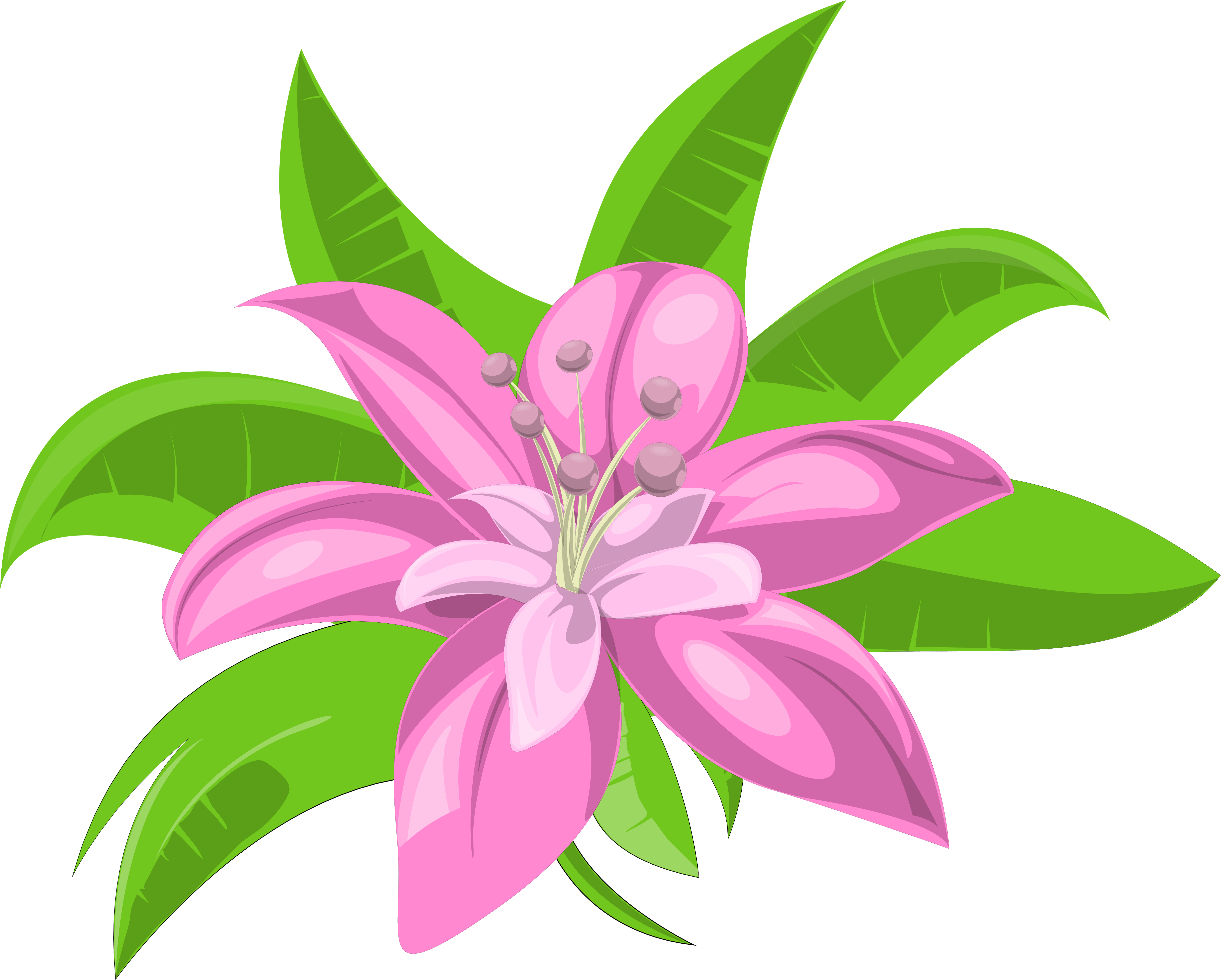 Hawaiian Flowers Png (6257x5096), Png Download