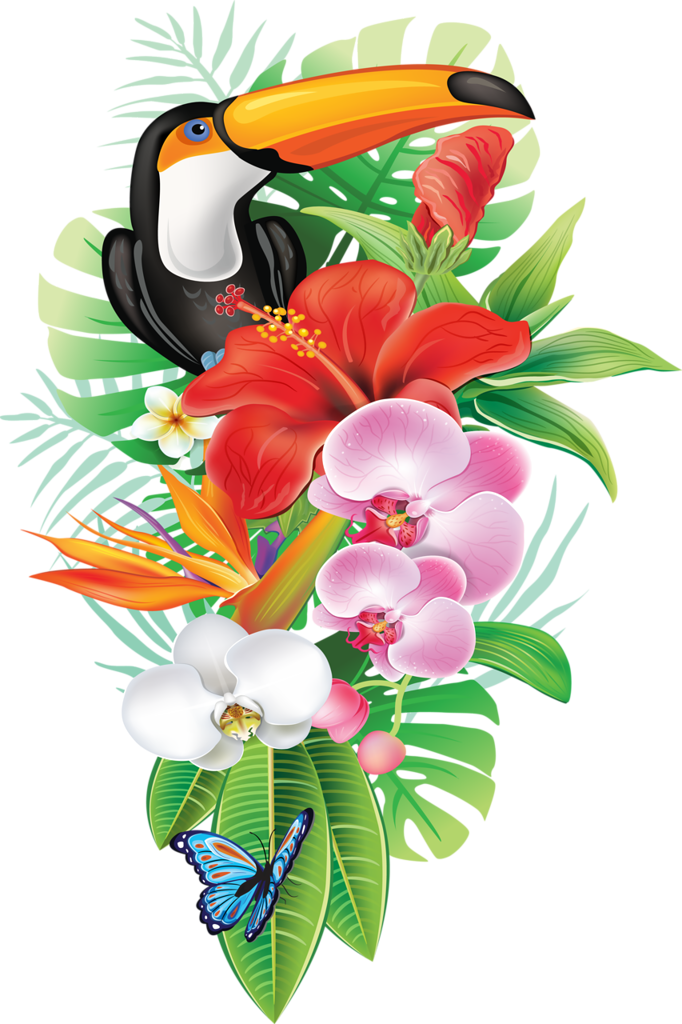 Jpg Transparent Download A D F Orig Png Pinterest - Tropical Png (682x1024), Png Download