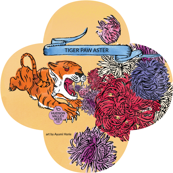 Tiger (700x699), Png Download