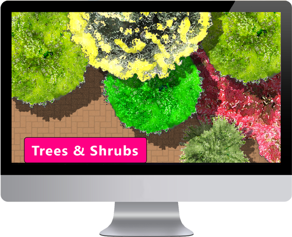 Top View Plants Images - Interior Design (591x486), Png Download