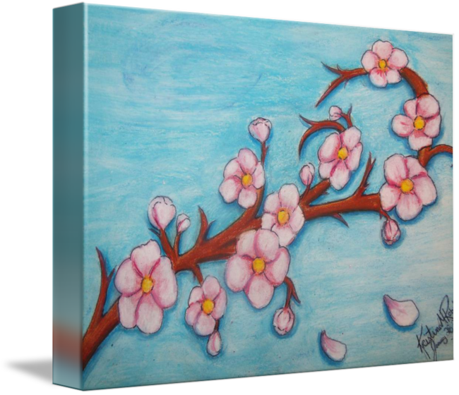Cherry Blossoms By Kristina Robak - Cherry Blossoms (650x560), Png Download
