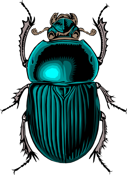 Scarab Beetle Tattoo - Egyptian Bug (432x593), Png Download