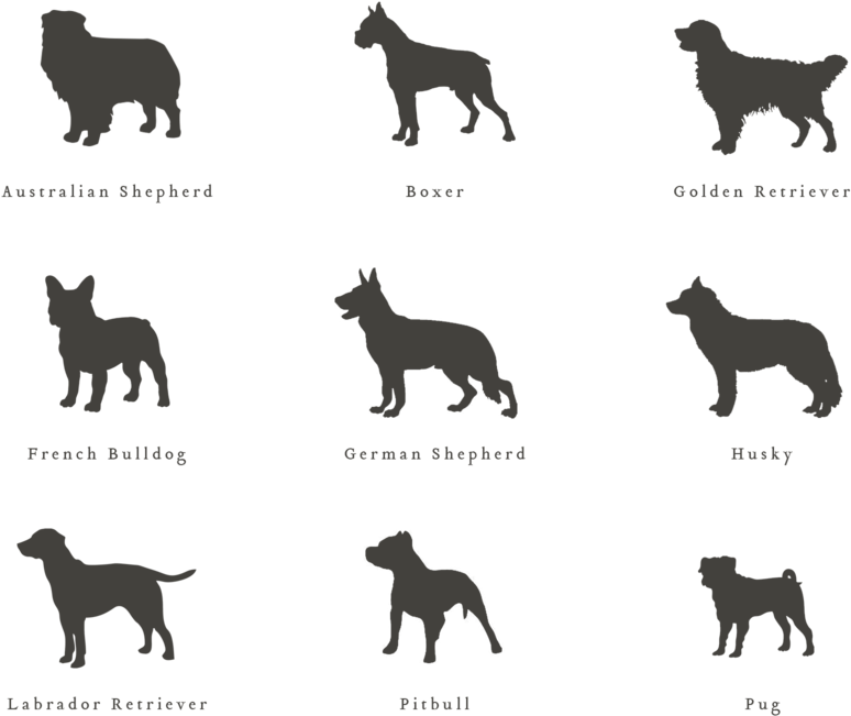 Oval Dog Address Stamp (1000x1000), Png Download