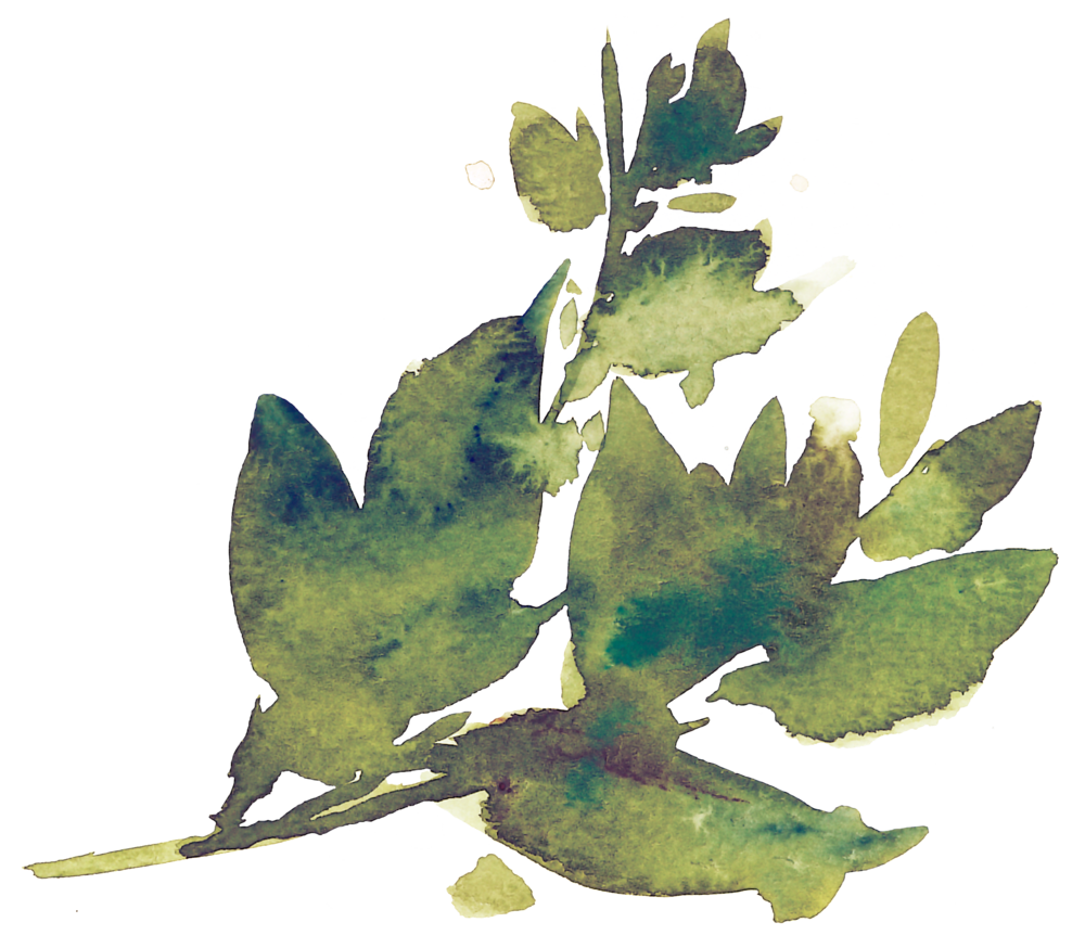 Greelement31 (1000x874), Png Download