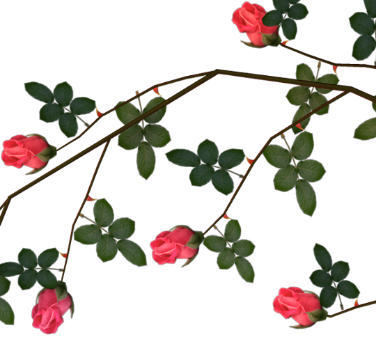 Png Thorns Svg Free - Clip Art (540x484), Png Download