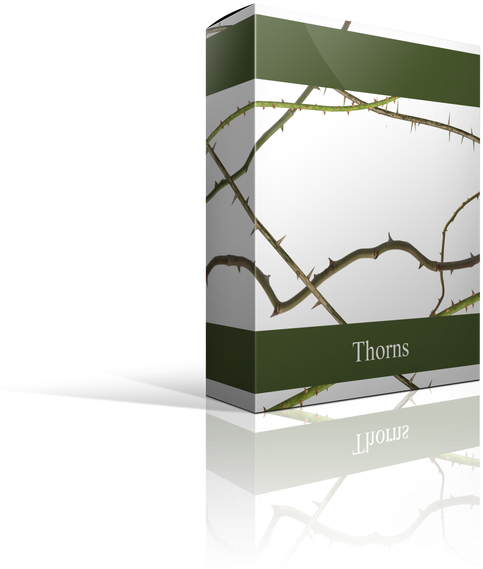 Thorn Overlays 21 Png Thorn Overlays - Lampshade (672x800), Png Download