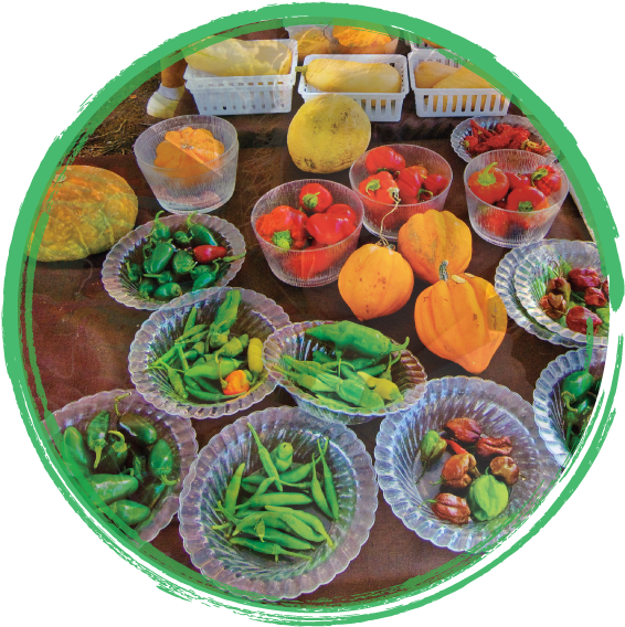 Fruits And Veggies In Baskets Surrounded By A Green - Fruit (590x581), Png Download