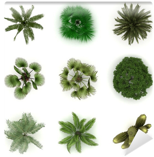 Alberi Da Frutto Dall Alto (400x400), Png Download