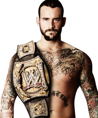 Cm Punk Wwe Superstar (335x400), Png Download