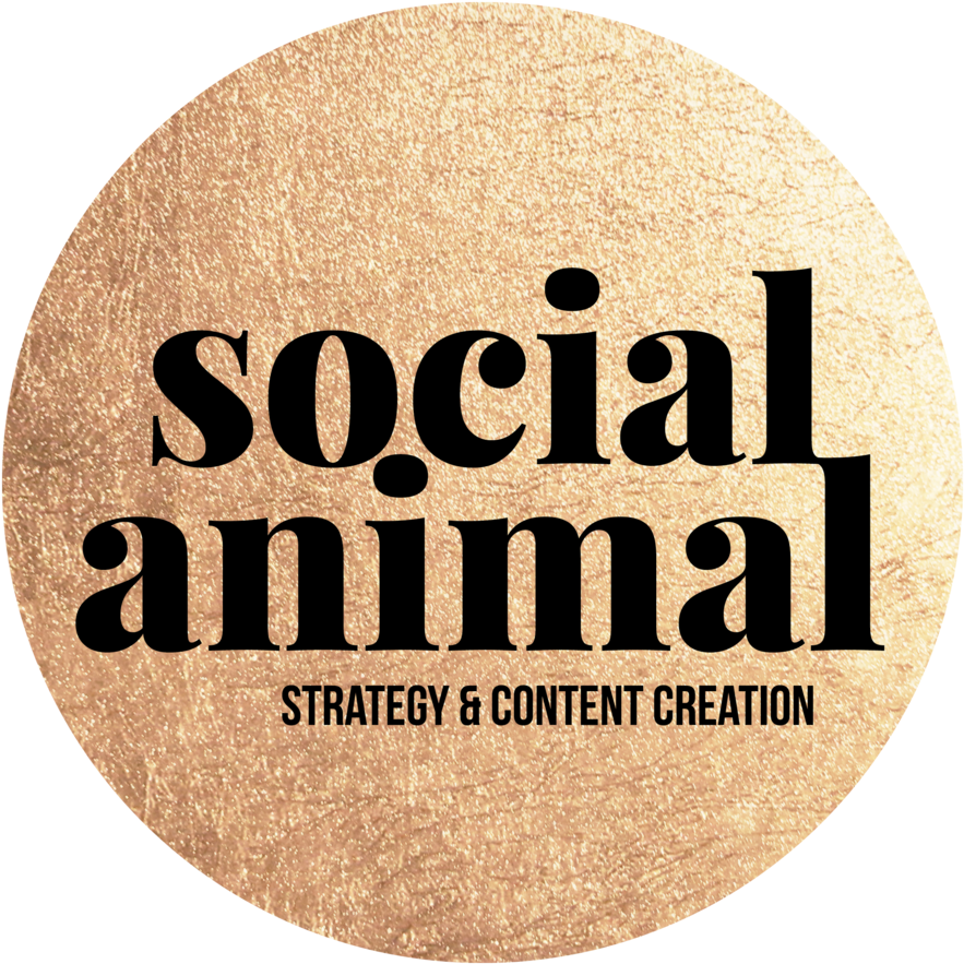 Socialanimal Gold Circle - Clothing (1000x1000), Png Download