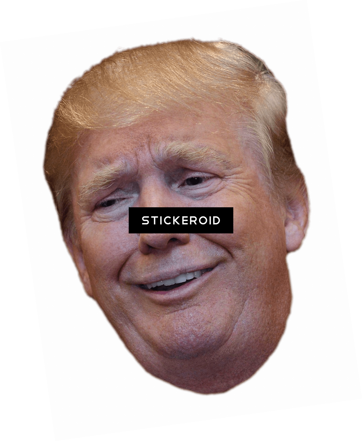 Donald Trump Thumb Up Endorse - Klagen Sie Dotard Donald Trump An Untersetzer (1246x1519), Png Download