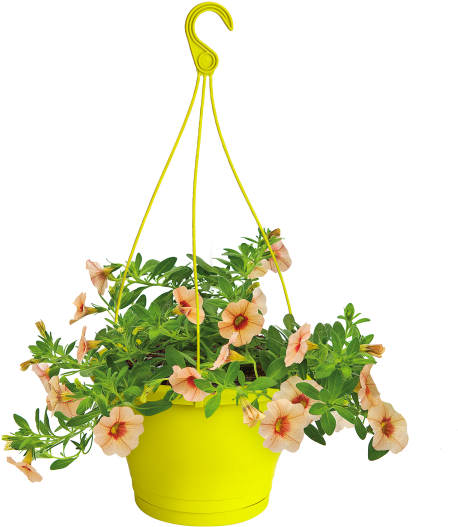 Home > Collection > Corsica Hanging Basket - Elho Green Basics Easy Hanger Small Mild Terra (750x750), Png Download
