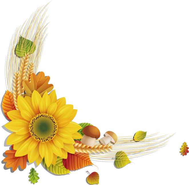 Sunflower (715x715), Png Download
