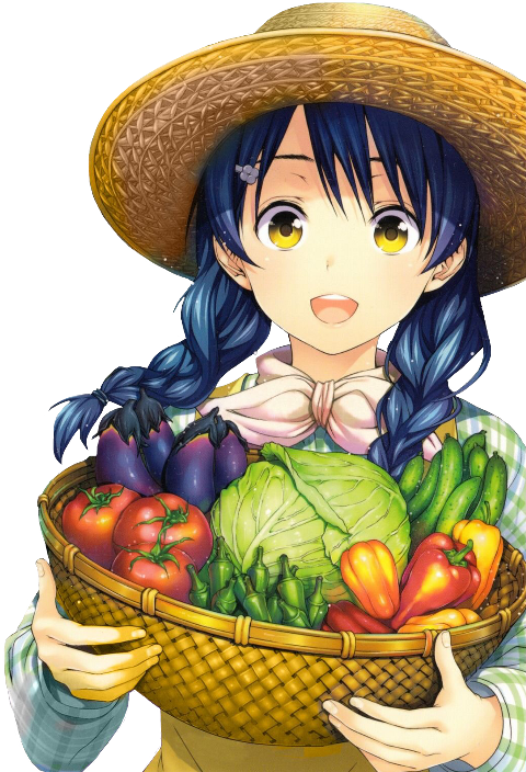 Shokugeki No Soma Megumi Tadokoro (480x704), Png Download