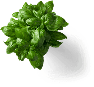 Add Parallax Effect To Your Layers - Restaurant (600x750), Png Download