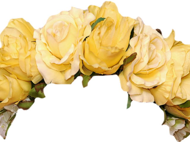 Transparent Flower Crown (640x480), Png Download