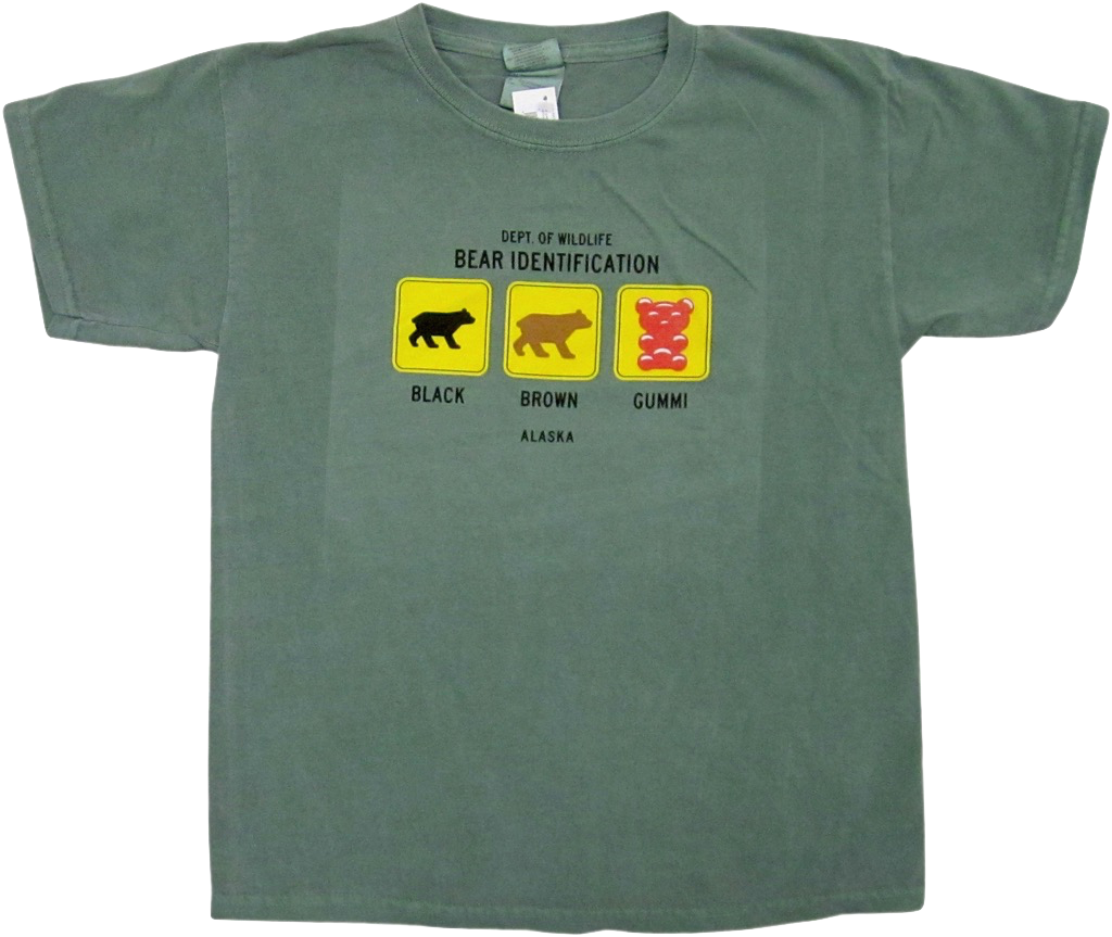Bear Identification Kid's T-shirt (1024x863), Png Download