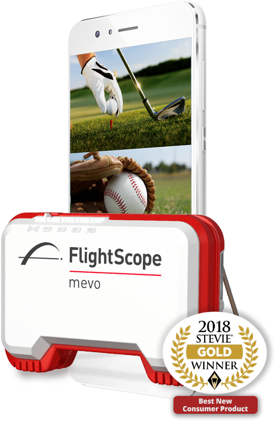 Flightscope Honored As Gold Stevie Award Winner In - Despicable Me 2 Animation 2013 32x24 Print Poster (700x832), Png Download