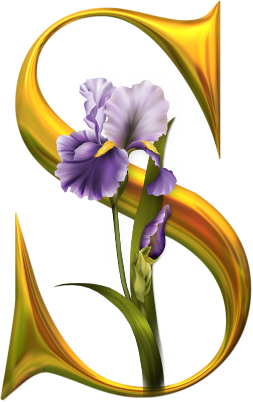 S - Susan In Letters (505x800), Png Download