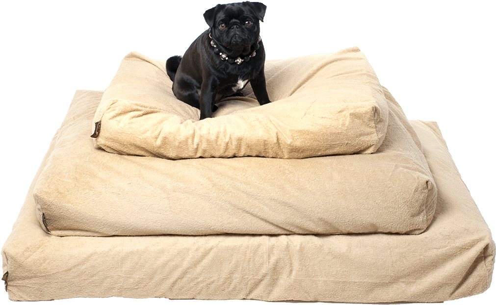 The Best Piddle Proof Dog Bed Protector - Oneforpets Piddle-proof Dog Bed Protector (1200x857), Png Download