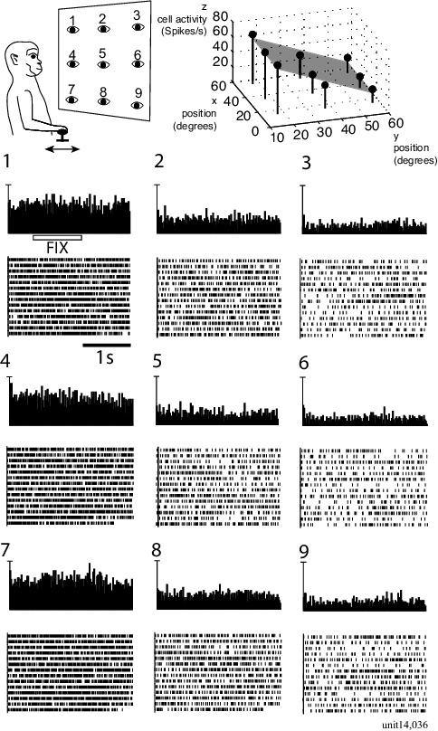 Top Left Part - Illustration (484x808), Png Download