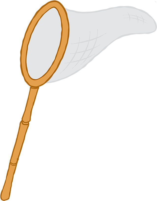 Jellyfish Net - Encyclopedia (700x850), Png Download