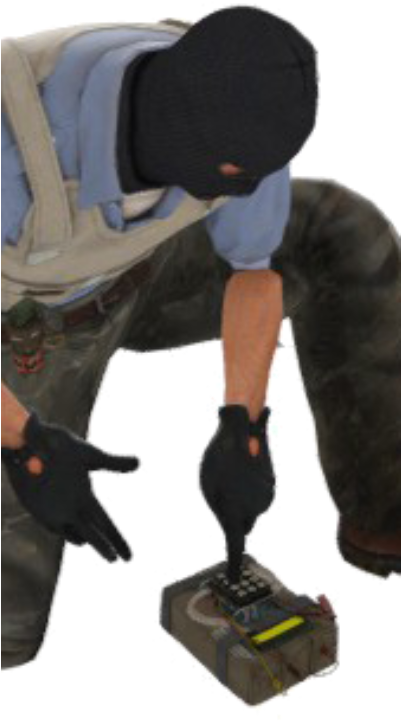 Download Transparent Different Bomb Plants And Their Advantages ...