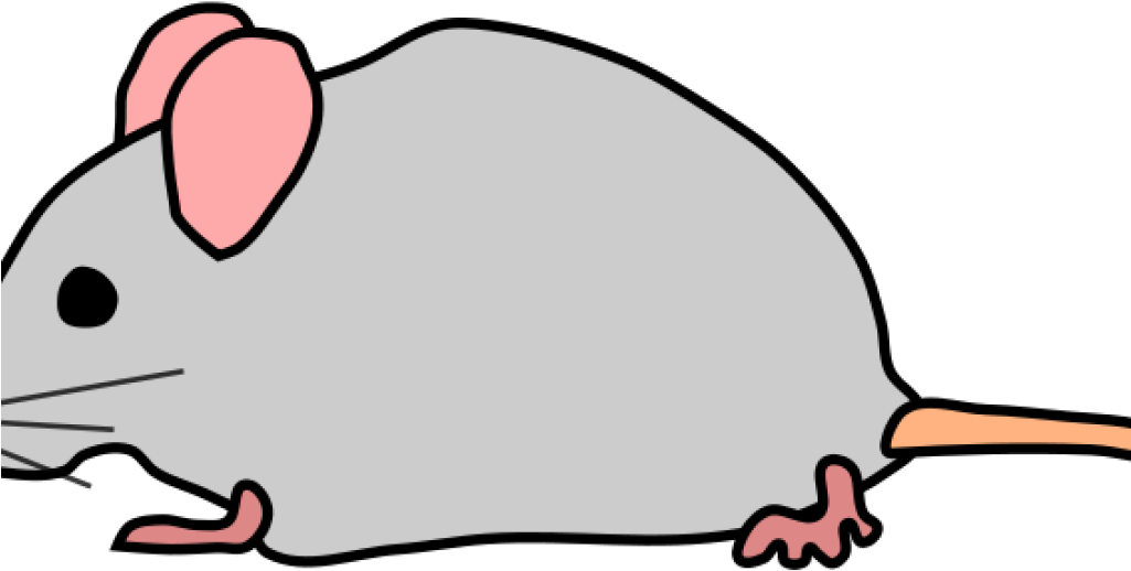 Svg Transparent Mouse Clipart - Mouse Clipart Png (1024x1024), Png Download