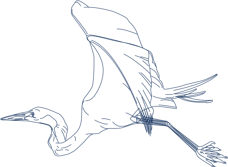 Marine Debris - Duck (948x701), Png Download