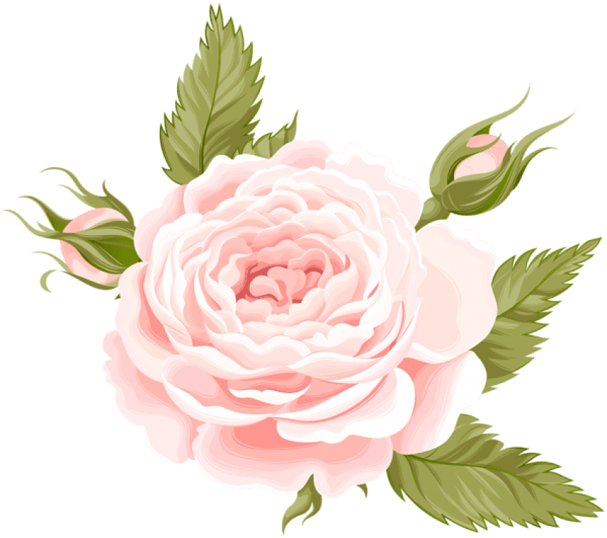 Free Png Rose Deco Png Images Transparent - Orita Amelie Paper 1 12 X 12 (850x753), Png Download
