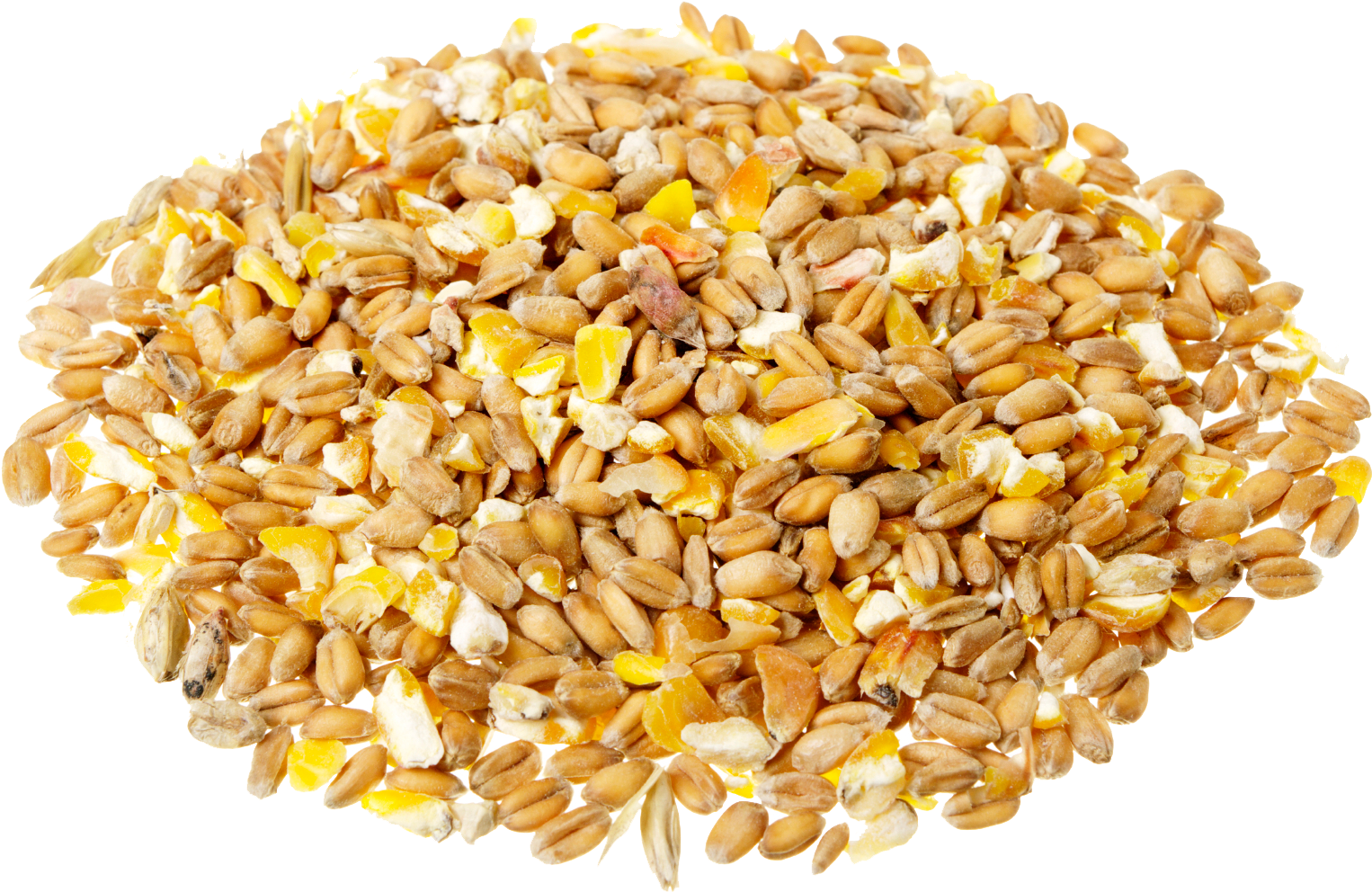Overview Image - Maize Cereal (1700x1129), Png Download