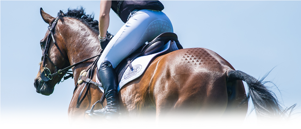Kent And Masters Saddles - Privacy (1000x440), Png Download