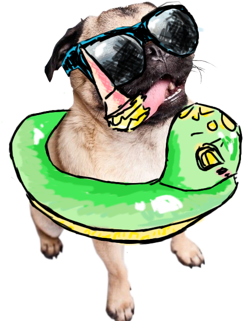 Drawn Transparent Summer Pug - Summer Pug Art Png (500x750), Png Download