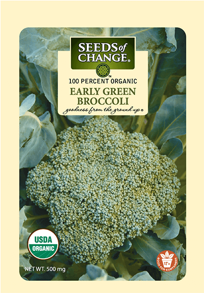 Organic Early Green Broccoli Seeds - Seeds Of Change 06069 Certified Organic Dill (573x573), Png Download