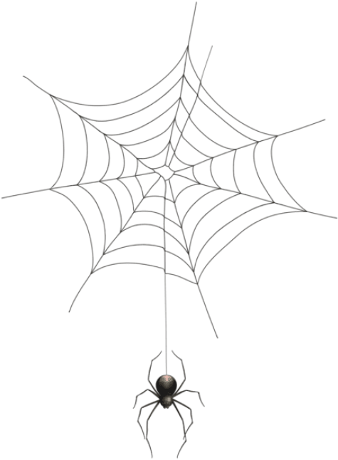 Free Png Spider And Web Transparent Png Images Transparent - Internet Trap: Five Costs Of Living Online (480x652), Png Download