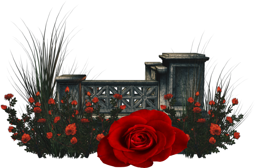 Garden Flower Rose Red Redrose Remixed - Clip Art (1024x1024), Png Download