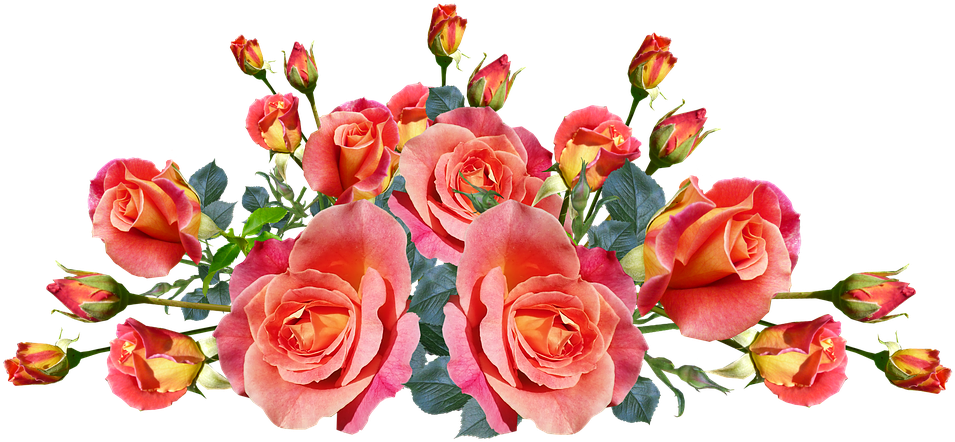 Roses, Flowers, Garden, Arrangement, Nature - Photograph (960x451), Png Download