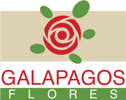 Logo Logo Logo Logo Logo - Galapagos Flores (1000x383), Png Download