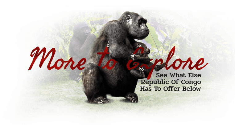 After Dinner Drinks Can Be Enjoyed Around A Communal - Click Wall Art Wood Slats Mojito Graphic Art On Plaque, (762x406), Png Download